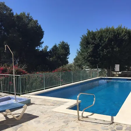 Flores De Burriana *