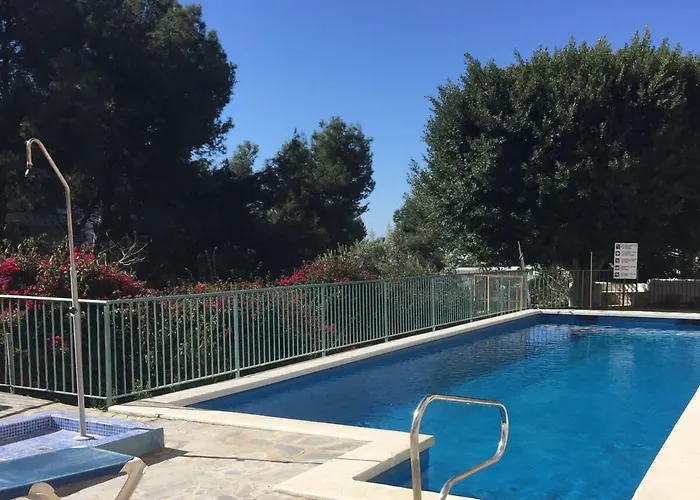 Flores De Burriana *